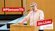 Anja Müller Plenum