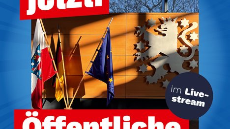 Anhörung AfD-Verbot